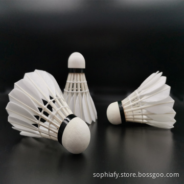80 Speed Asia Market Most Durable Beginners Badminton